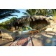 Properties for Sale_La Villa a Pantelleria in Le Marche_6